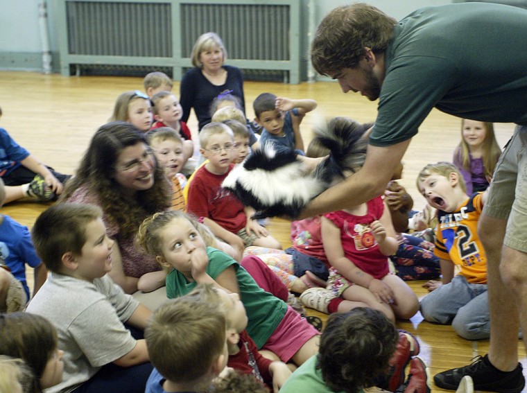 Naturalist  Patrick Miller, right, shows students the skunk he brought to the school during a visit from Zoo America to Lycoming Nursery School in Williamsport on Wednesday. The visit also featued a Barred Owl, a snake and an alligator.